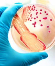 El primer caso de gonorrea resistente a los antibióticos
