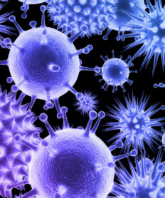 Principales características de los virus