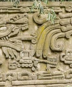 Curiosas Tradiciones omelcas