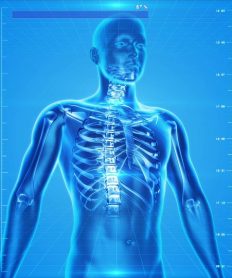¿Por qué la hidratación del ser humano es vital para su vida?