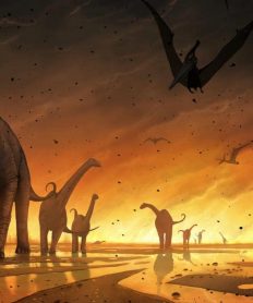 Extinciones que han ocurrido en la Tierra