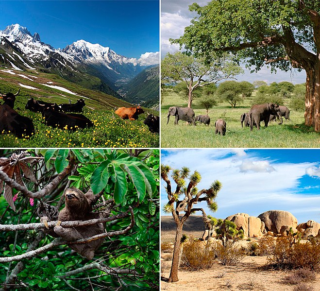 Ecosistema terrestre definición y clasificación Colaboracion cientifica Ecosistema terrestre definición y clasificación Colaboracion cientifica