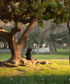 Descubre excelentes lugares para encontrar pareja fuera de lo común